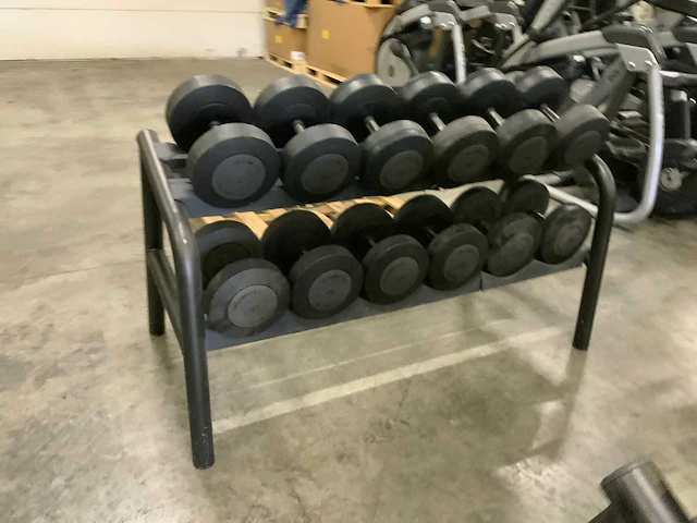 Technogym dumbbell set 2 oplopend 26kg t/m 36kg krachtstation - afbeelding 5 van  6