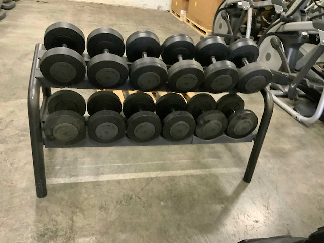 Technogym dumbbell set 2 oplopend 26kg t/m 36kg krachtstation - afbeelding 6 van  6