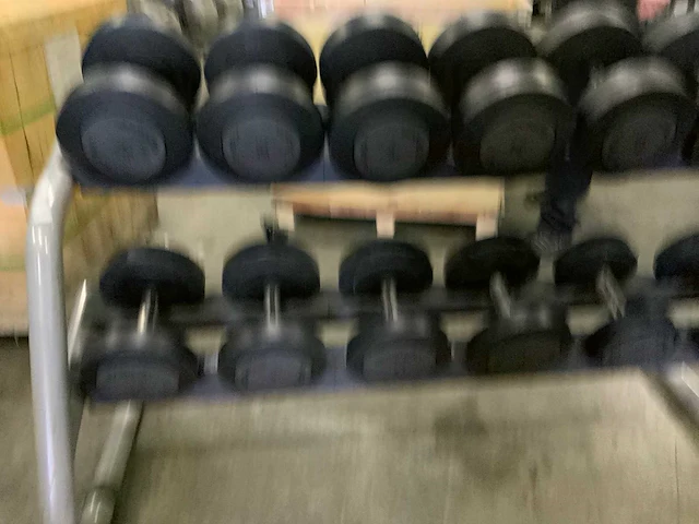 Technogym dumbbells 10;14;16;28;34;36kg krachtstation - afbeelding 3 van  6