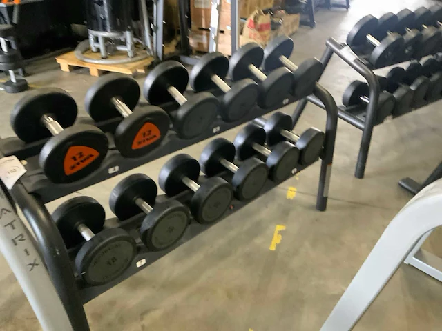 Technogym dumbbells met rek set 12;14;16;18;20;22kg krachtstation - afbeelding 1 van  4