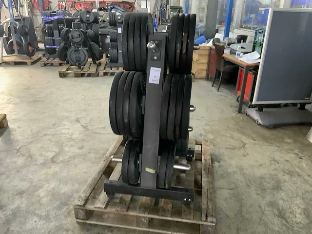 Technogym dumbells met element rek 24x20;4x10kg krachtstation - afbeelding 2 van  7