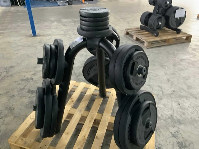 Technogym dumbells met element rek 6x20;8x10;4x5;4x2,5kg krachtstation - afbeelding 5 van  6