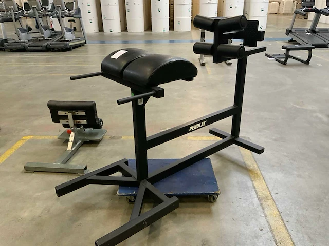 Technogym ghd rug bank krachtstation - afbeelding 2 van  5