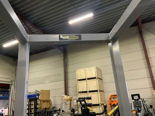Technogym isotonic chin dip krachtstation - afbeelding 4 van  5