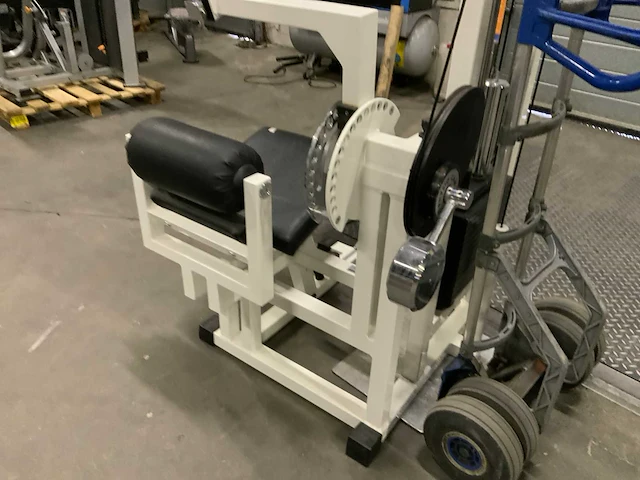 Technogym isotonic lowerback bench r.o.m. krachtstation - afbeelding 6 van  6