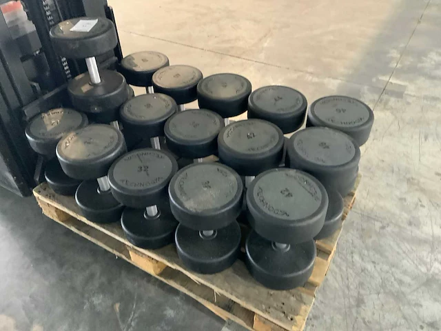 Technogym pu dumbbells 32kg t/m 46kg krachtstation - afbeelding 1 van  4