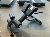 Technogym pure heper extension krachtstation