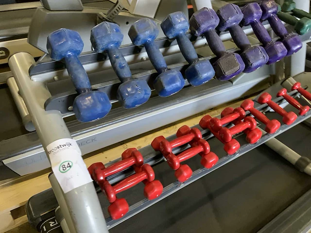 Technogym rek aerobic dumbells krachtstation - afbeelding 2 van  4