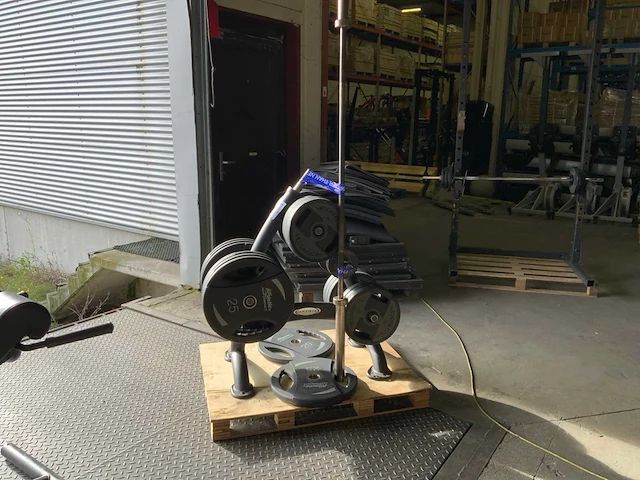 Technogym schijvenrek met 305kg schijven 8x schijven zijn nieuw - afbeelding 2 van  8