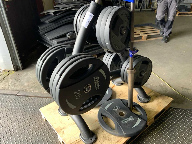 Technogym schijvenrek met 305kg schijven 8x schijven zijn nieuw - afbeelding 6 van  8