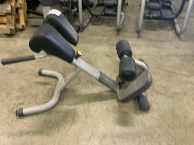 Technogym selection line hyperextension krachtstation - afbeelding 2 van  4
