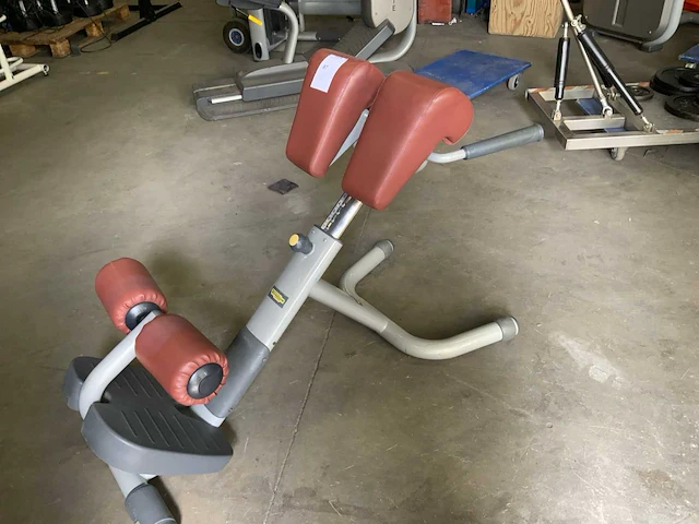 Technogym selection line hyperextension krachtstation - afbeelding 2 van  5
