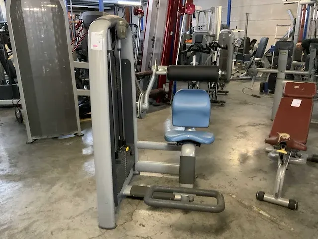 Technogym selectionline lowerback krachtstation - afbeelding 4 van  6