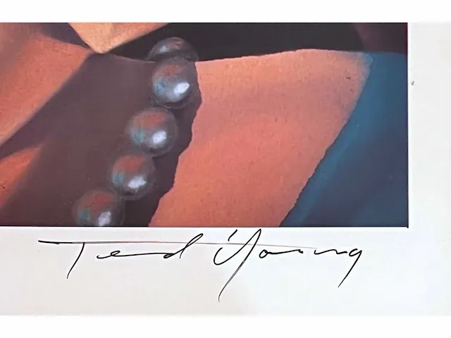 Ted young (usa) - afbeelding 4 van  6