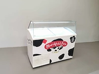 Tefcold - slant510 - ijsvitrine vriezer - afbeelding 1 van  3