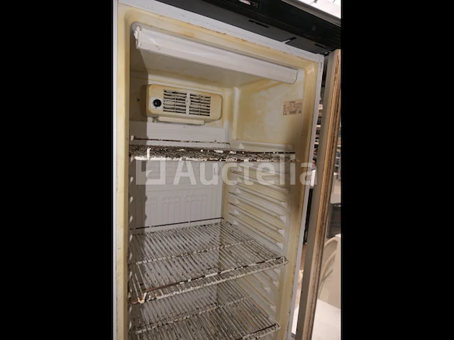 Tefcold fs 1380 verticale koelvitrine - afbeelding 8 van  11