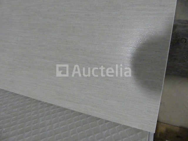 Tegels en breuk - afbeelding 18 van  23