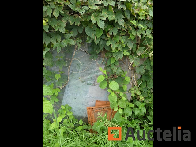 Tegels (grote aantal) - afbeelding 8 van  30