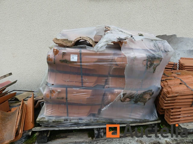 Tegels (grote aantal) - afbeelding 1 van  30