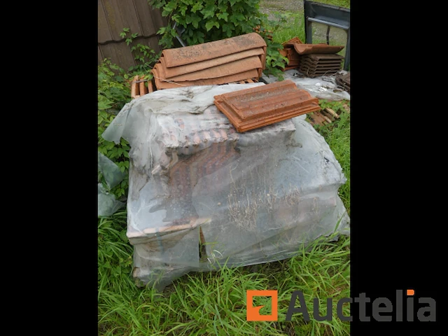 Tegels (grote aantal) - afbeelding 14 van  30