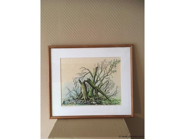 Tekening - afbeelding 3 van  4