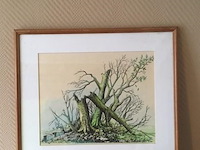 Tekening - afbeelding 3 van  4