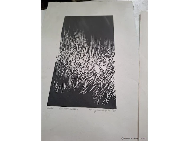 Tekeningen - afbeelding 3 van  6