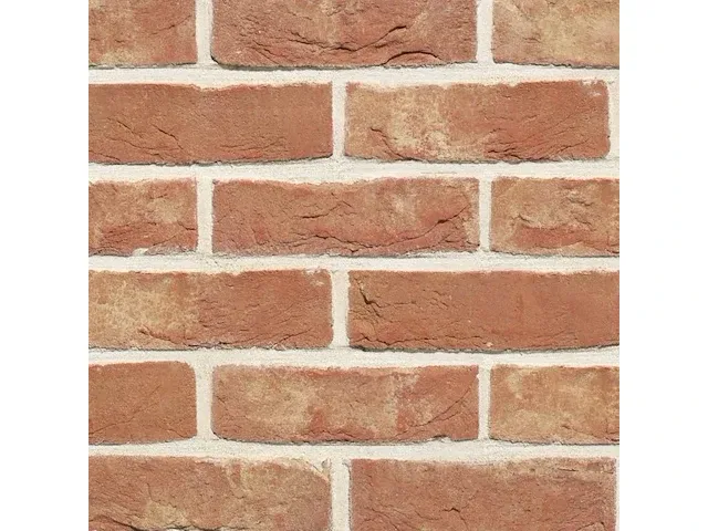 Terca neo roman - afbeelding 3 van  3