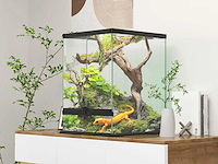 Terrarium, glazen kast -afsluitbaar -kabelbeheer - afbeelding 1 van  8