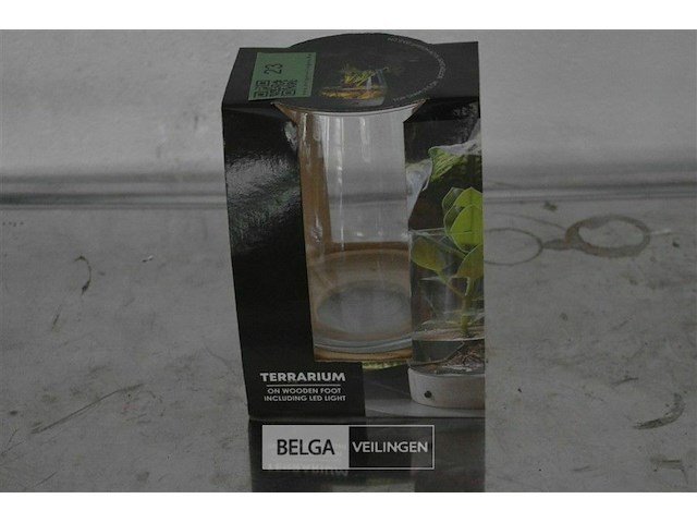 Terrarium met led licht - afbeelding 1 van  3