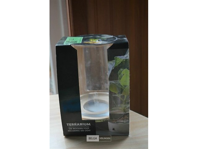 Terrarium met led licht - afbeelding 2 van  3