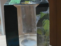 Terrarium met led licht - afbeelding 2 van  3