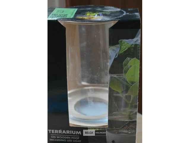 Terrarium met led licht - afbeelding 3 van  3