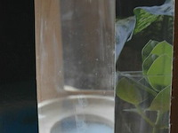 Terrarium met led licht - afbeelding 3 van  3