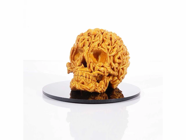 The skull "gold glitter" - alvaro mendez - 2024 - 3d sculptuur gelimiteerd 30 stuks - 20x20x23 - certificaat - afbeelding 2 van  5