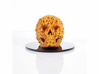 The skull "gold glitter" - alvaro mendez - 2024 - 3d sculptuur gelimiteerd 30 stuks - 20x20x23 - certificaat - afbeelding 5 van  5