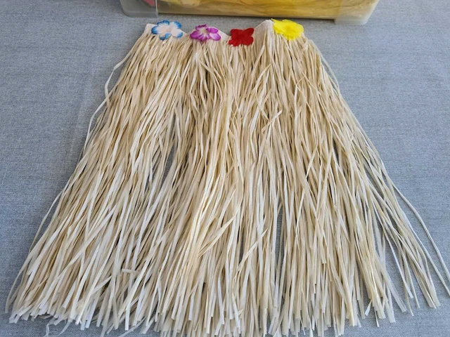 Thema & carnavalskleding holarokken bleek - afbeelding 2 van  2