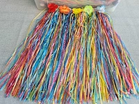 Thema & carnavalskleding hularokken - afbeelding 2 van  2