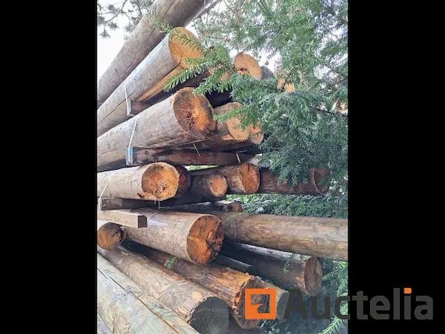 Thermisch behandelde sparrenhouten palen - afbeelding 2 van  6