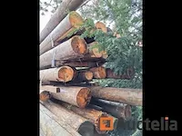 Thermisch behandelde sparrenhouten palen - afbeelding 2 van  6