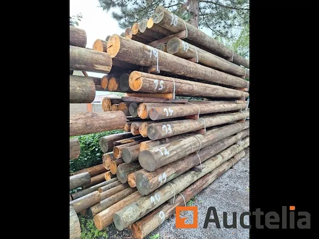 Thermisch behandelde sparrenhouten palen - afbeelding 4 van  6