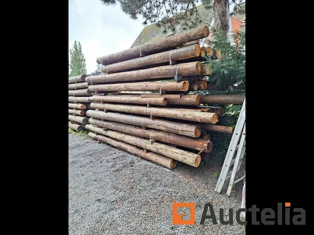 Thermisch behandelde sparrenhouten palen - afbeelding 5 van  6