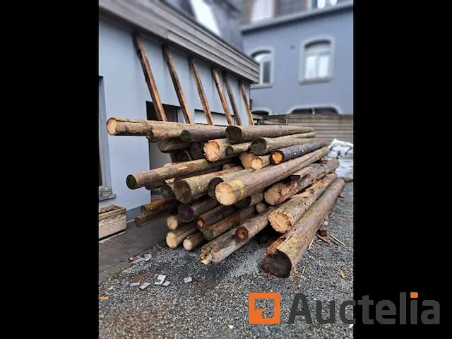Thermisch behandelde sparrenhouten palen - afbeelding 3 van  4