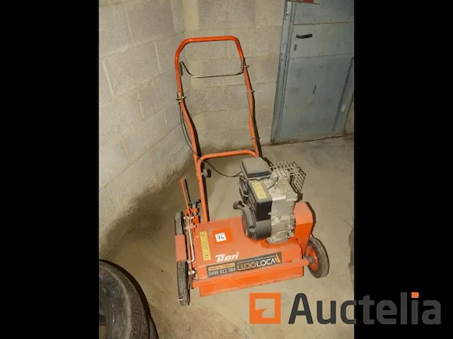 Thermische verticuteermachine dori 450 pro - afbeelding 4 van  4