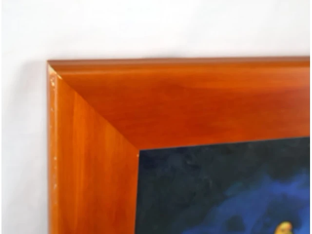 Thommy - afbeelding 4 van  5