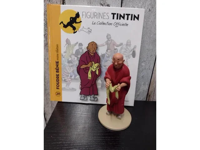 Tibetaanse monik - afbeelding 3 van  5