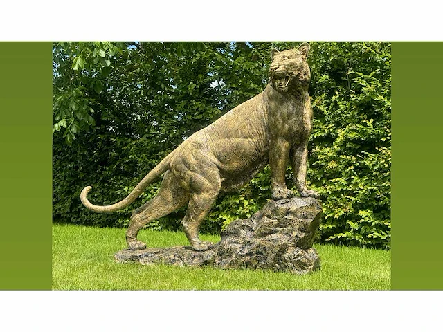 Tiger on rock h140 old gold - afbeelding 1 van  3