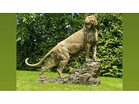 Tiger on rock h140 old gold - afbeelding 1 van  3