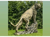 Tiger on rock h140 old gold - afbeelding 2 van  3