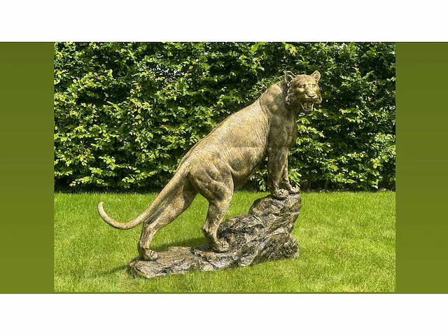 Tiger on rock h140 old gold - afbeelding 3 van  3